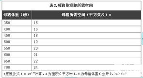 母猪群养产业动态 市场行情、技术趋势与专业服务平台纵览